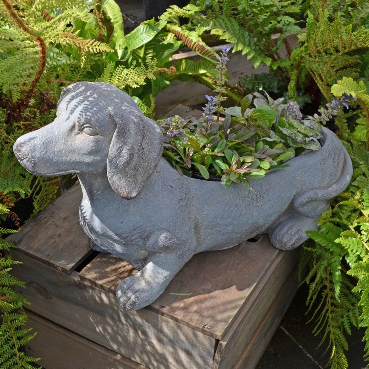 Solstice Sculptures Sausage Dog Planter 30Cm Blue Iron Effect - Image 8