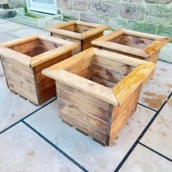 Charles Taylor 4pc Small Planter Set