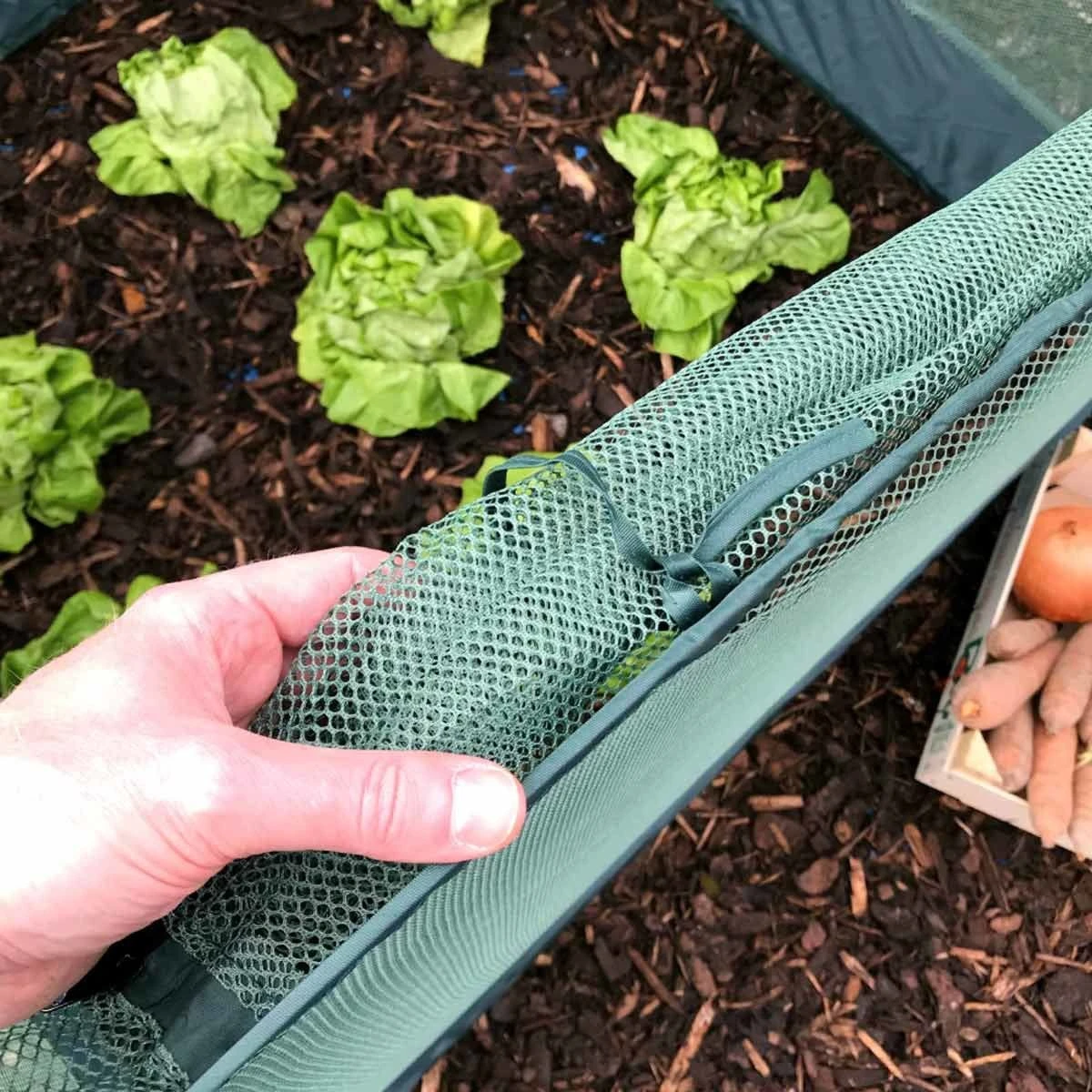 Gardenskill Pop Up Strawberry And Salad Fruit Cage Plant Cover 1 X 1 X 0.75M - Image 4