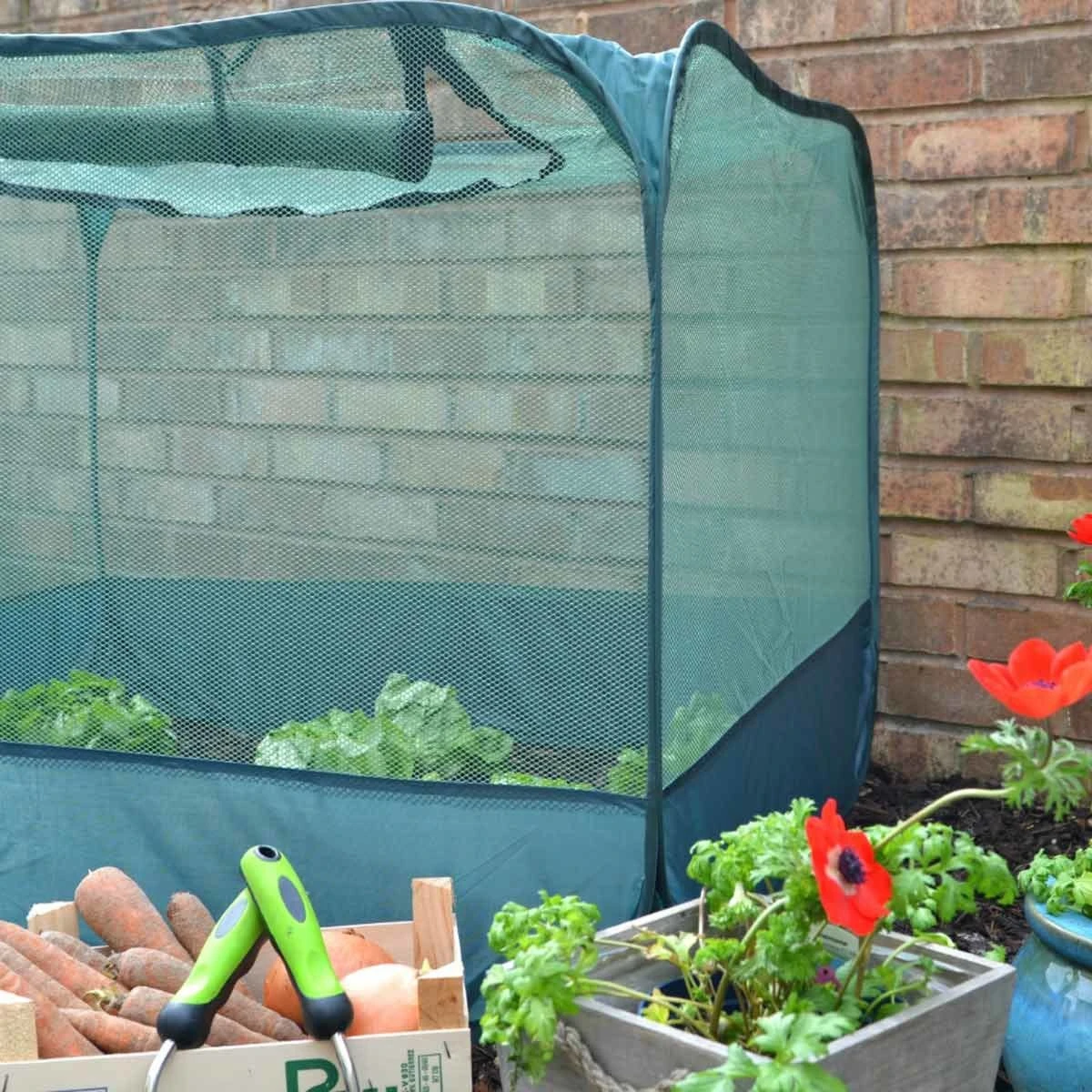 Gardenskill Pop Up Strawberry And Salad Fruit Cage Plant Cover 1 X 1 X 0.75M - Image 6