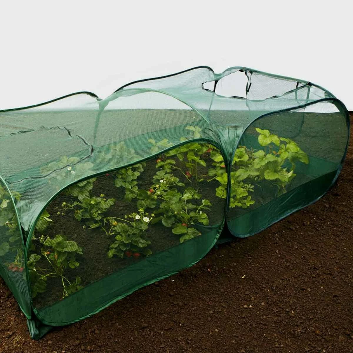 Gardenskill Giant Pop Up Fruit Cage And Plant Protection Cover 2 X 1 X 0.75M - Image 3