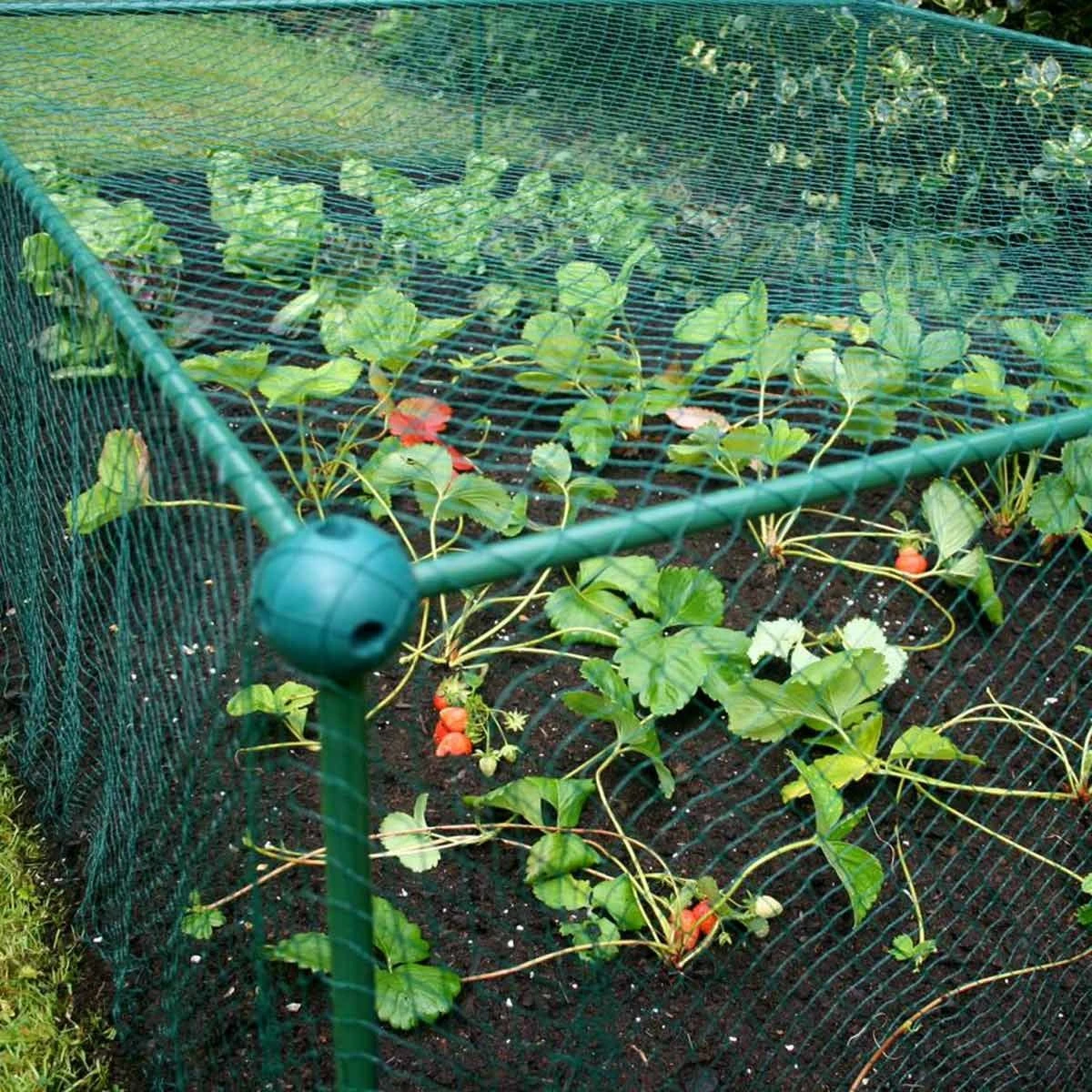 Gardenskill Fruit And Vegetable Garden Cage Kit With Bird Netting 2.5 X 1.25 X 0.625M - Image 3