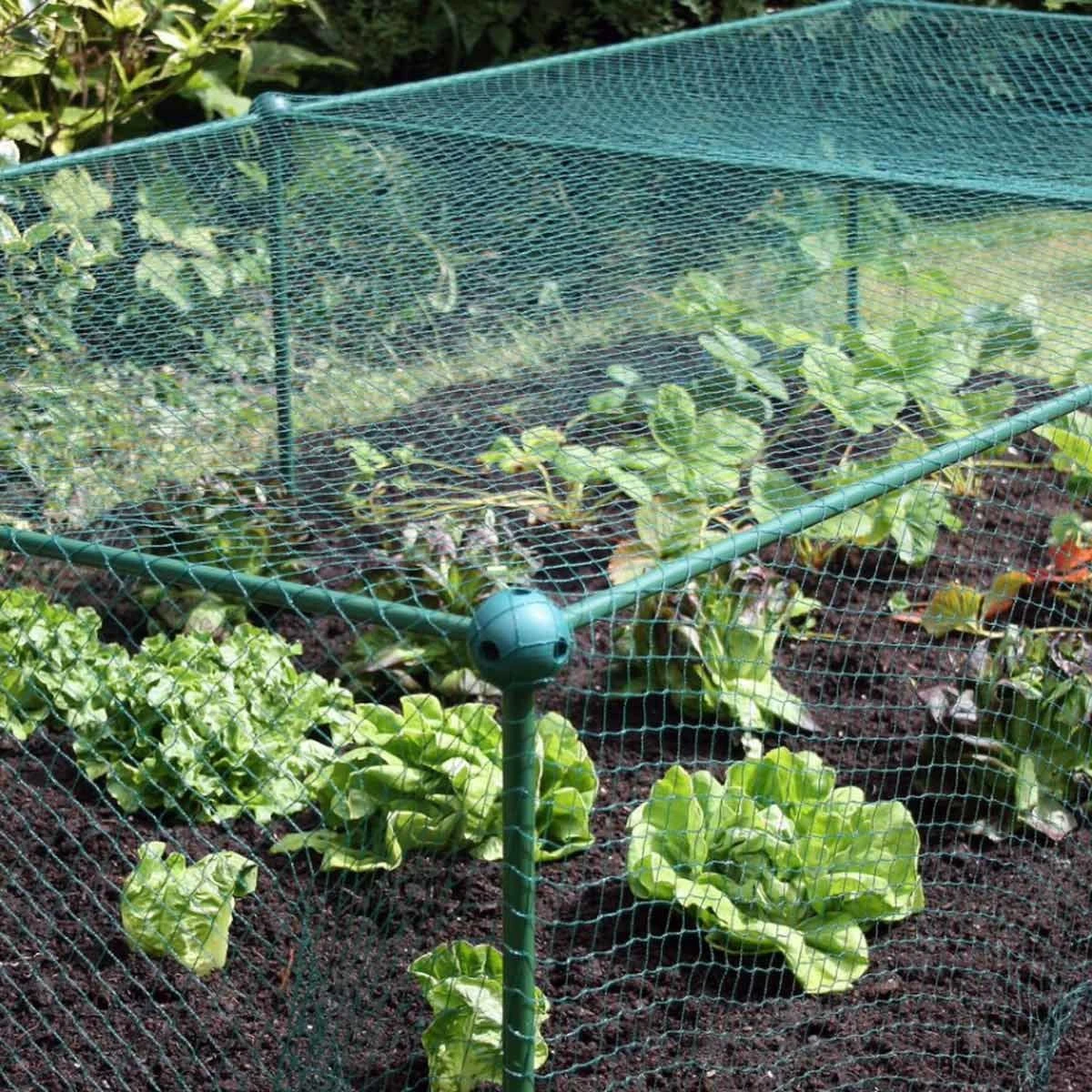 Gardenskill Fruit And Vegetable Garden Cage Kit With Bird Netting 2.5 X 1.25 X 0.625M - Image 6