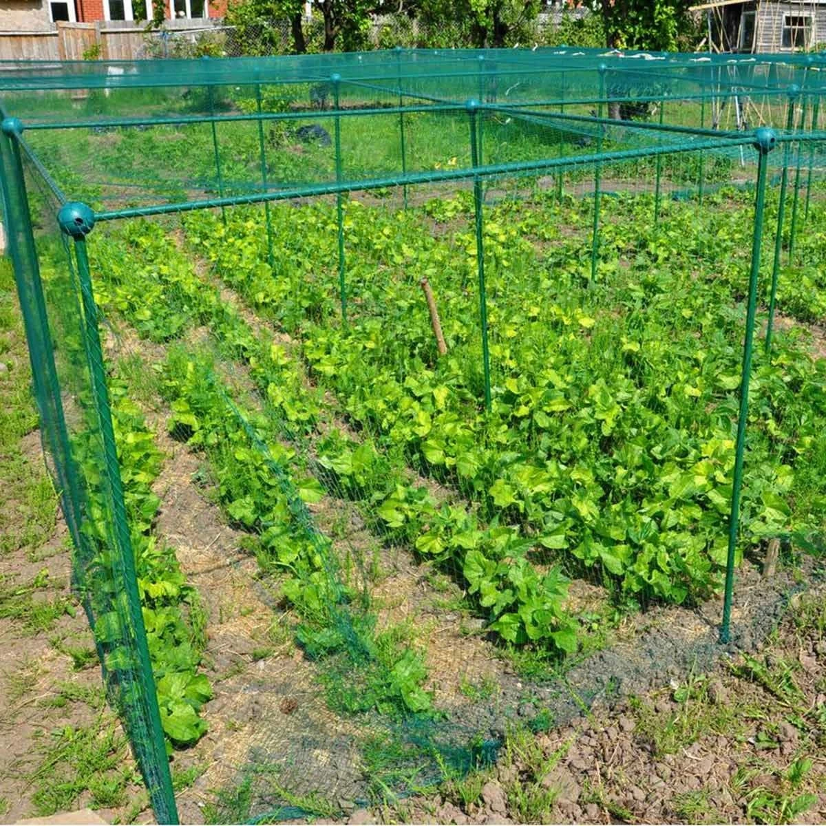Gardenskill Fruit And Vegetable Garden Cage Kit With Bird Netting 2 X 1 X 1.25M - Image 4
