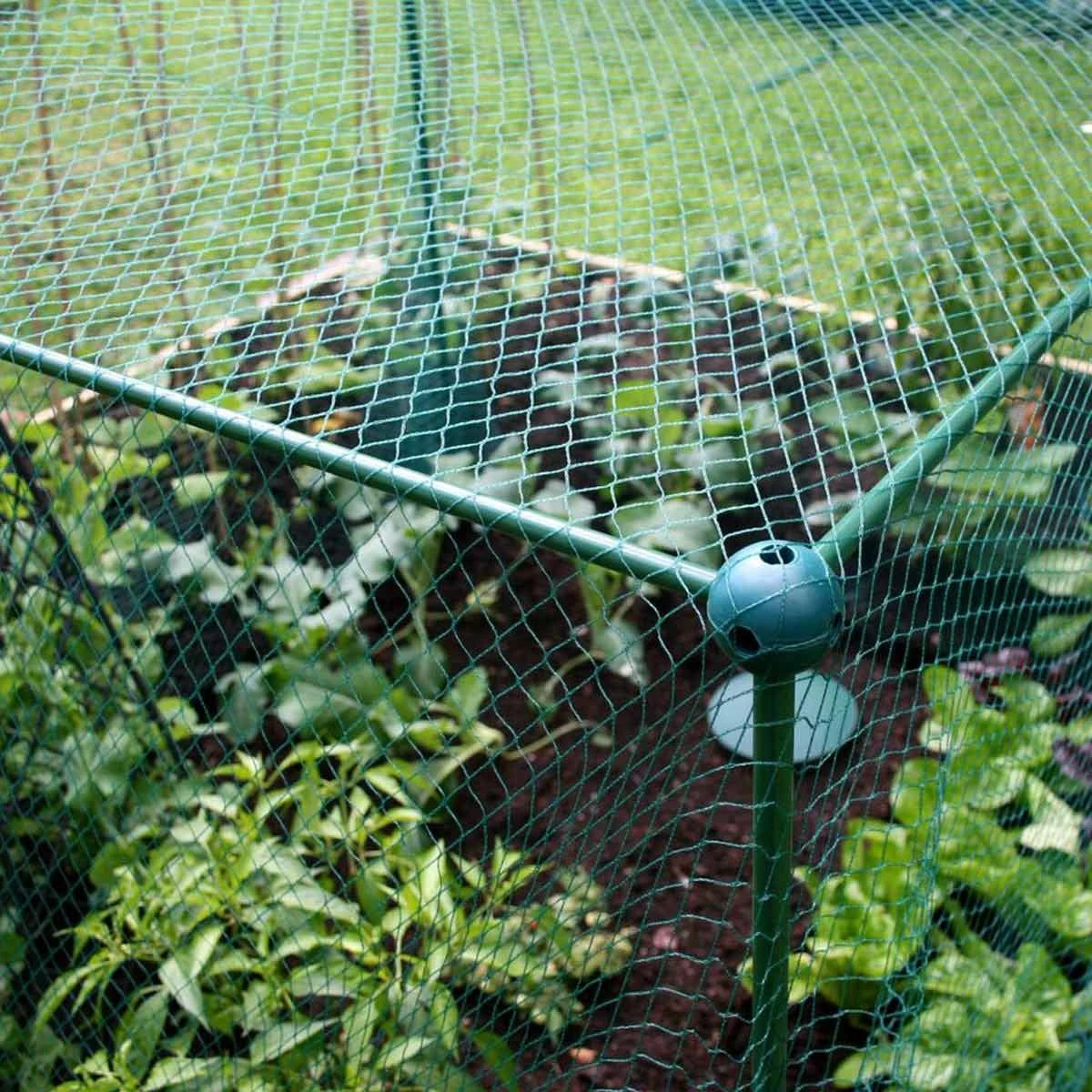 Gardenskill Fruit And Vegetable Garden Cage Kit With Bird Netting 2 X 1 X 1.25M - Image 5
