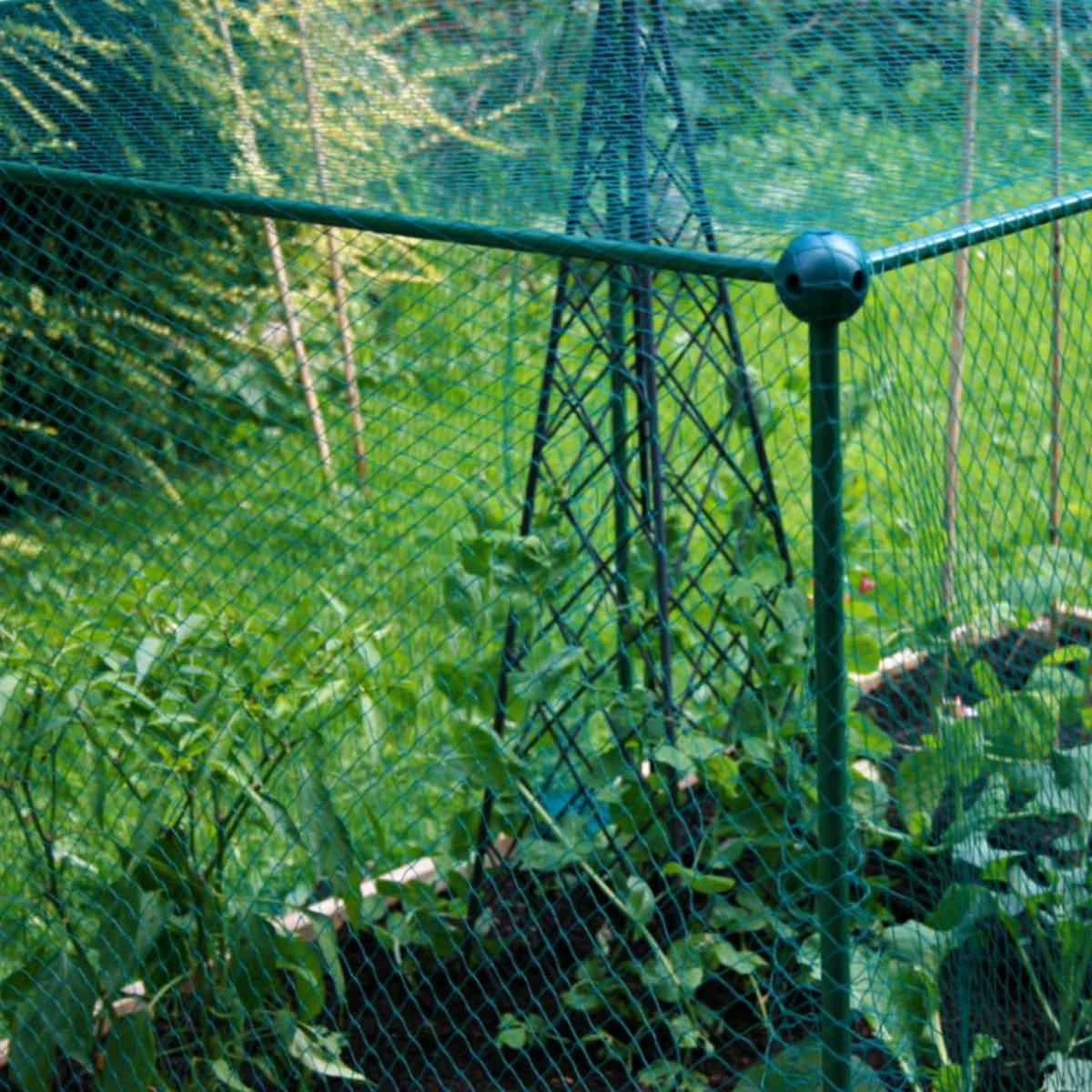 Gardenskill Fruit And Vegetable Garden Cage Kit With Bird Netting 2 X 1 X 1.25M - Image 6