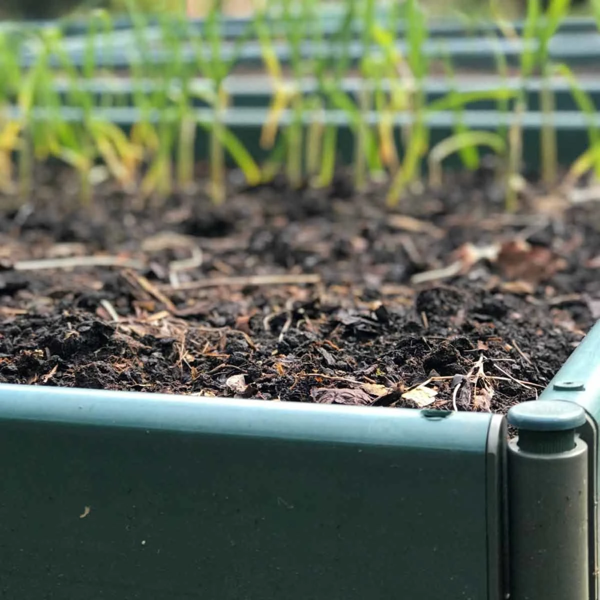 Gardenskill Build-a-bed Raised Vegetable Grow Bed And Planter 2 X 1 X 0.5M - Image 3