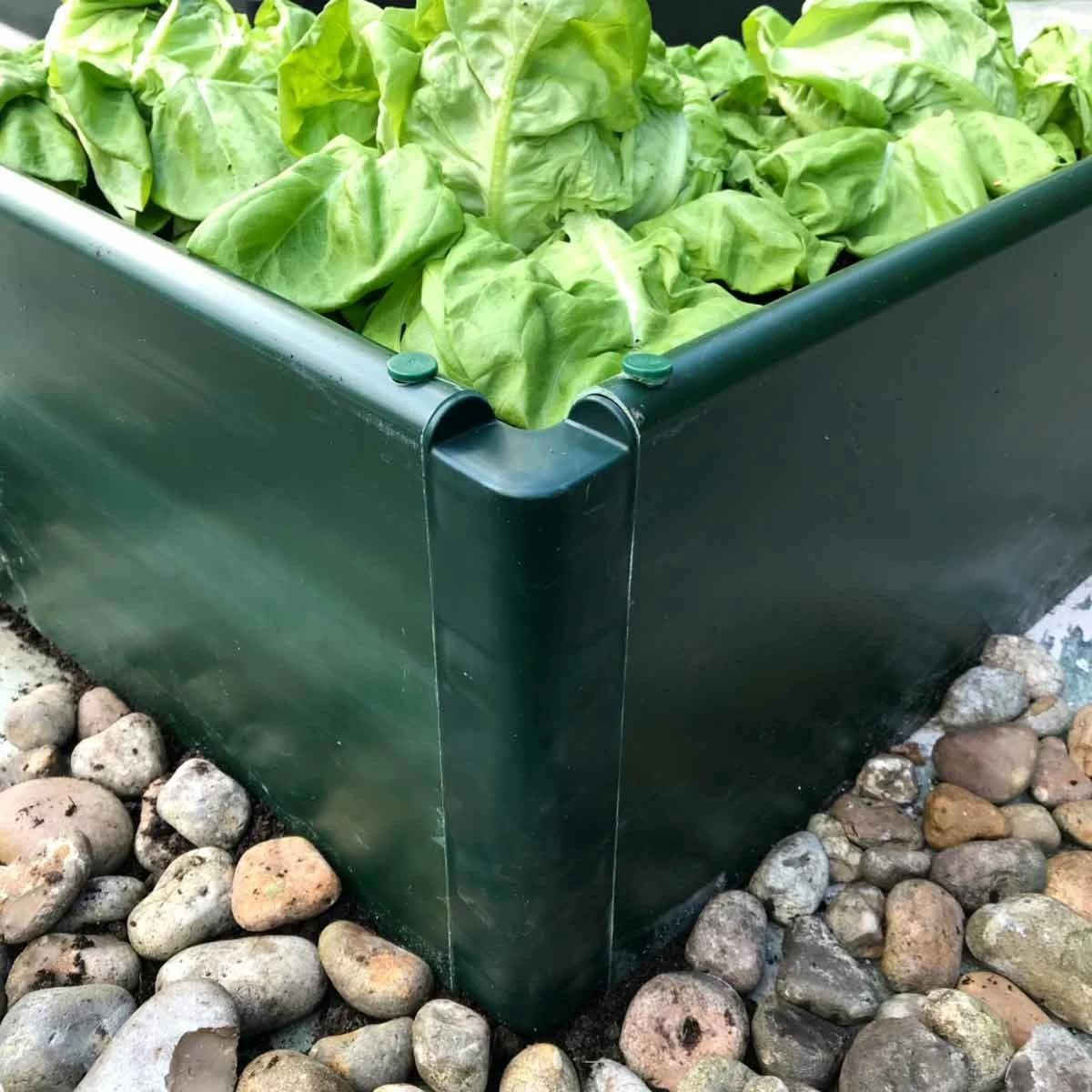 Gardenskill Build-a-bed Raised Vegetable Grow Bed And Planter 2 X 1 X 0.5M - Image 5