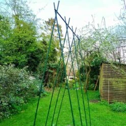 Gardenskill Easy Grow Runner Bean Frame And Climbing Plant Support Trellis 0.75 X 1.2 X 2.4M