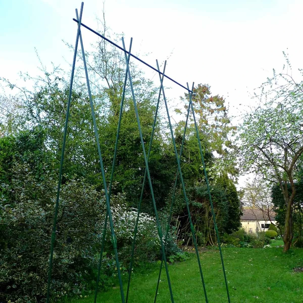 Gardenskill Easy Grow Runner Bean Frame And Climbing Plant Support Trellis 0.75 X 1.2 X 2.4M - Image 3