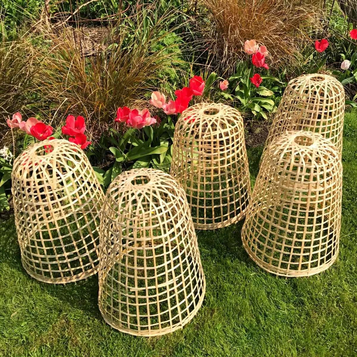 Gardenskill Bamboo Bell Cloche And Garden Plant Protection Cover Medium - Pack Of 5 - Image 2