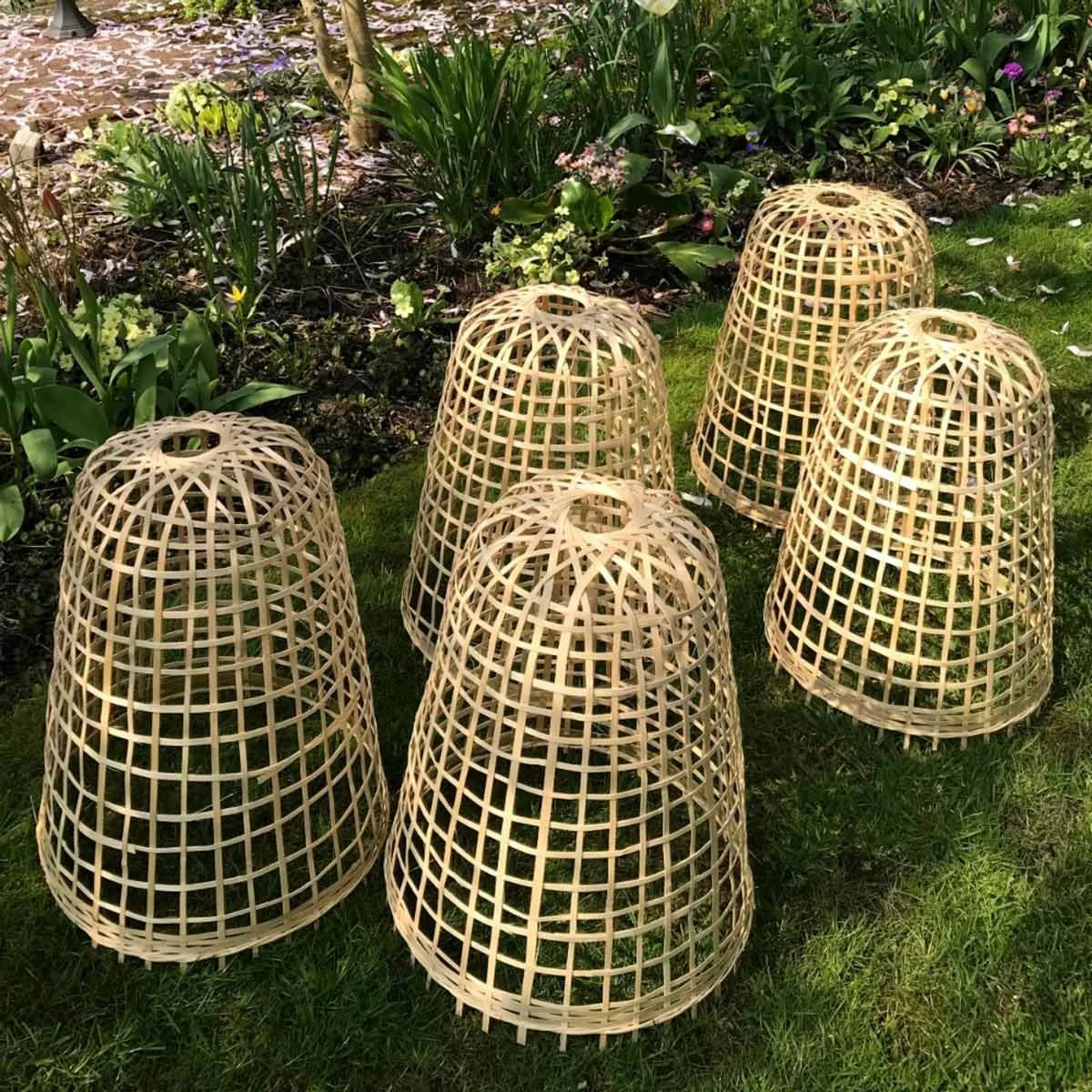Gardenskill Bamboo Bell Cloche And Garden Plant Protection Cover Medium - Pack Of 5 - Image 3
