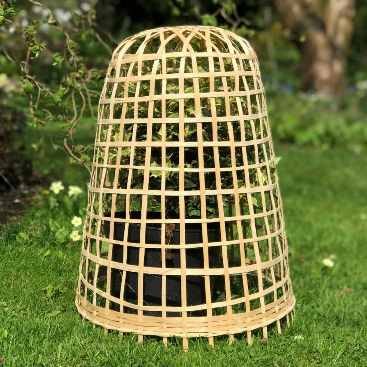 Gardenskill Bamboo Bell Cloche And Garden Plant Protection Cover Medium - Pack Of 5 - Image 5