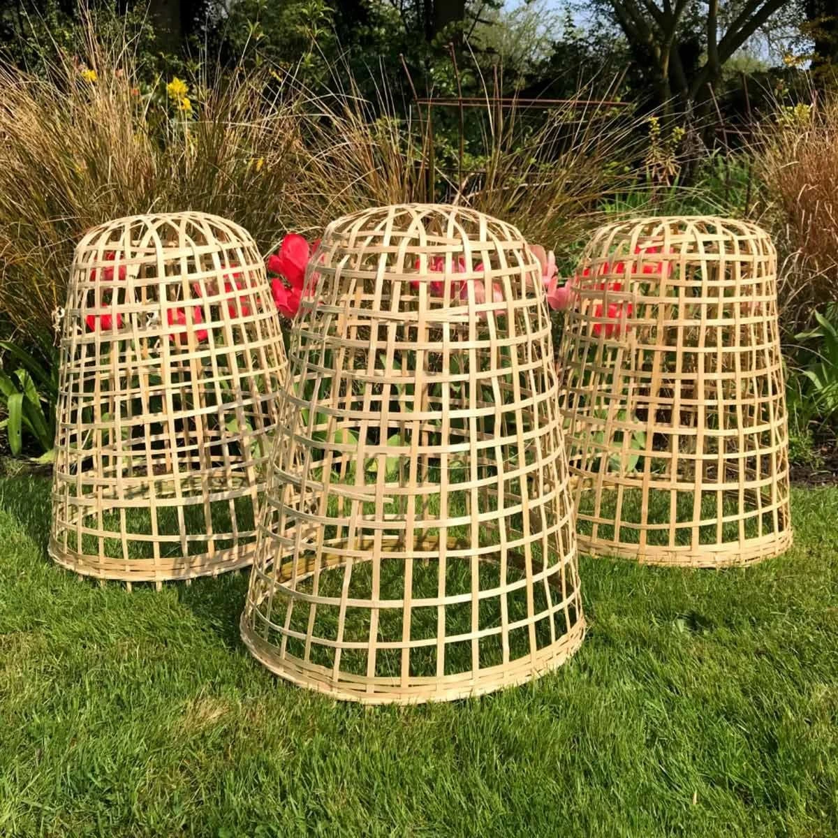 Gardenskill Bamboo Bell Cloche And Garden Plant Protection Cover Large - Pack Of 3 - Image 2