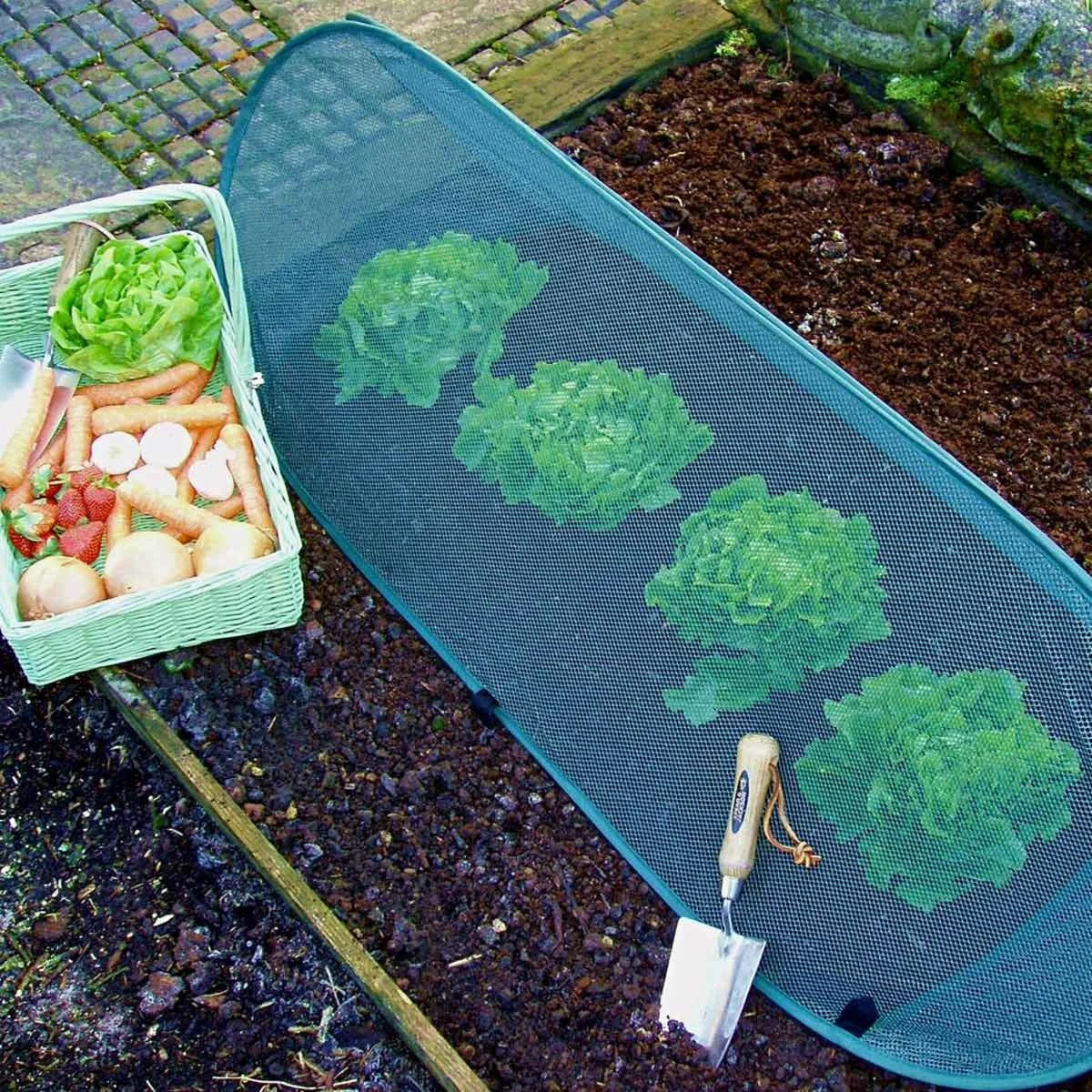 Gardenskill Pop Up Mini Grow Tunnel And Vegetable Bed Cover 1.25 X 0.5 X 0.5M - Image 4