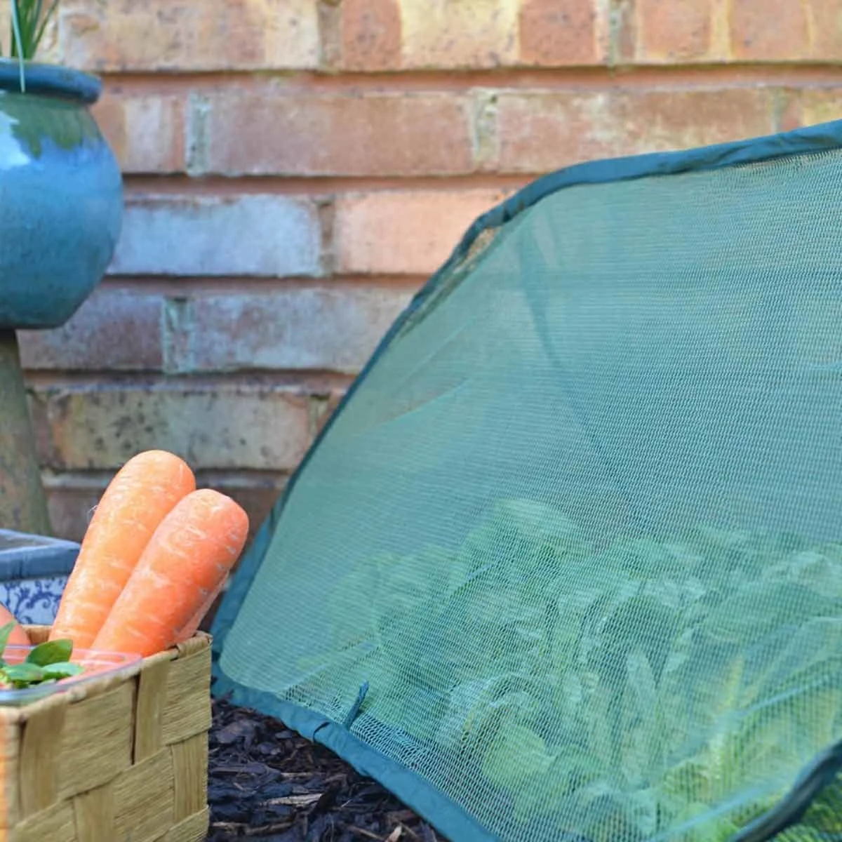 Gardenskill Pop Up Mini Grow Tunnel And Vegetable Bed Cover 1.25 X 0.5 X 0.5M - Image 5