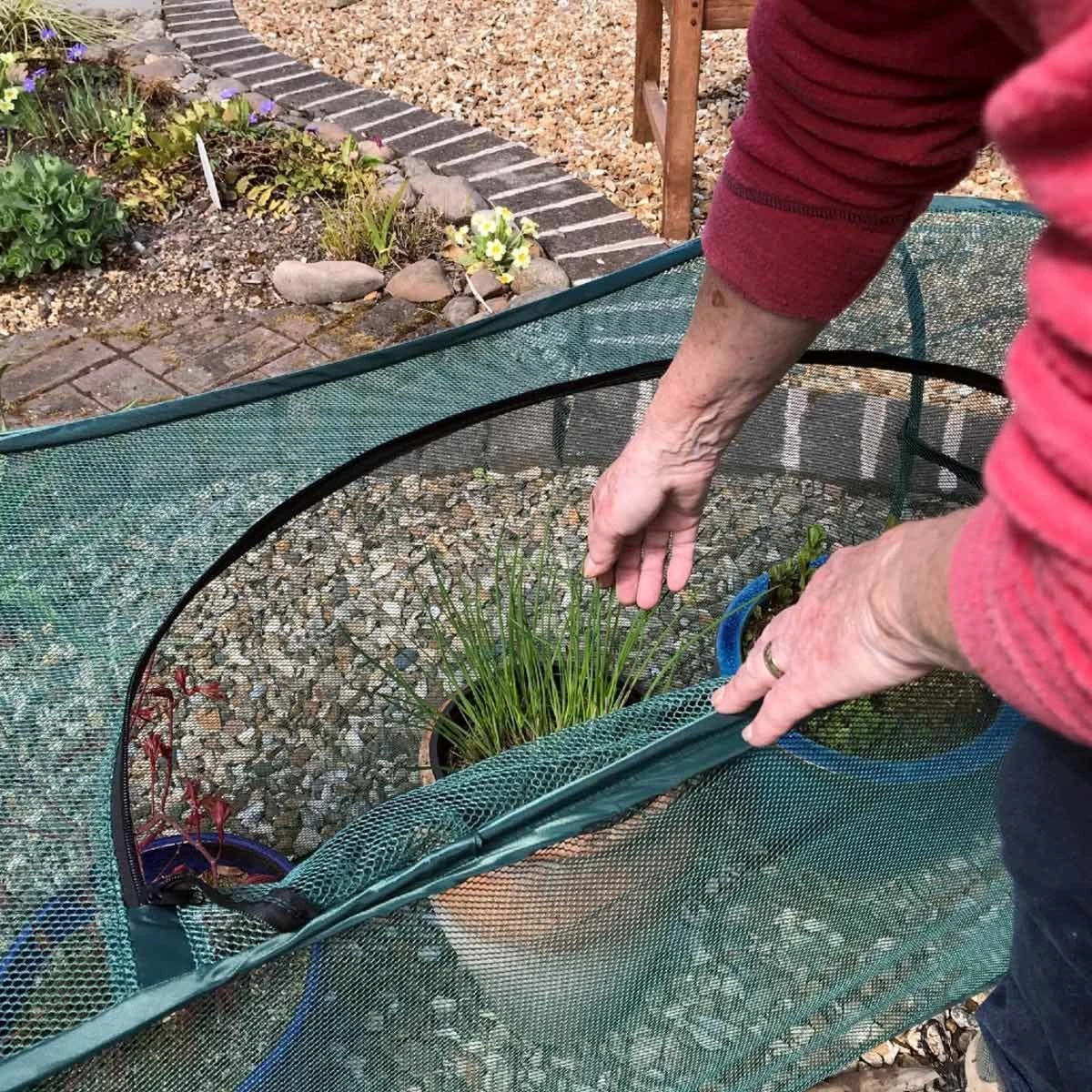 Gardenskill Pop-up Garden Plant Cover For Pots Planters And Grow Bag Crops - Image 4