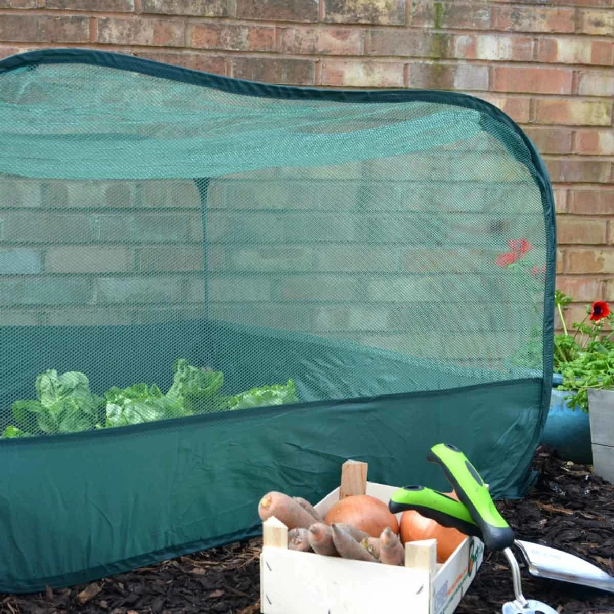 Gardenskill Pop Up Fruit And Vegetable Cage Grow-house 1 X 0.65M - Image 4