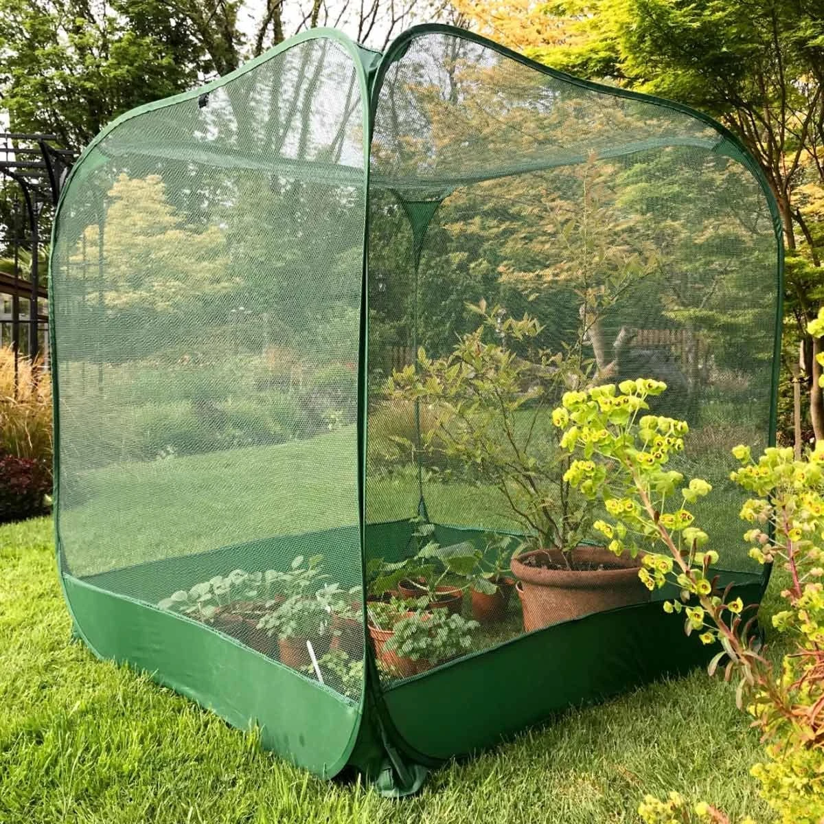 Gardenskill Pop Up Fruit Cage And Brassica Grow-house 1M X 1.35M - Image 2