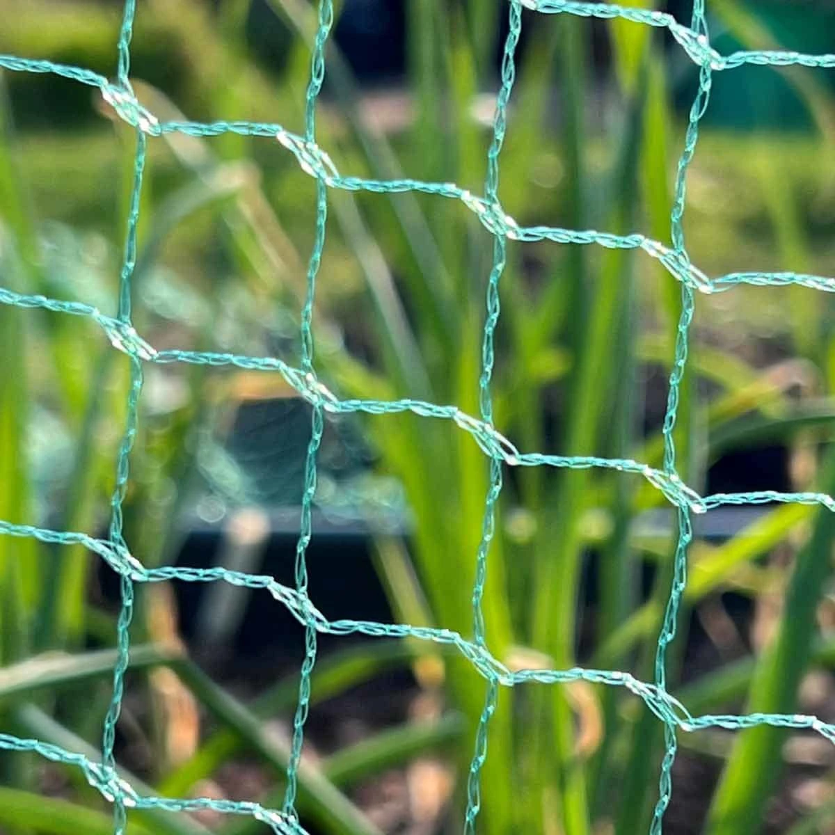 Gardenskill Bird Block Soft Bird Mesh Netting For Fruit, Veg And Plants 8M X 25M - Image 3