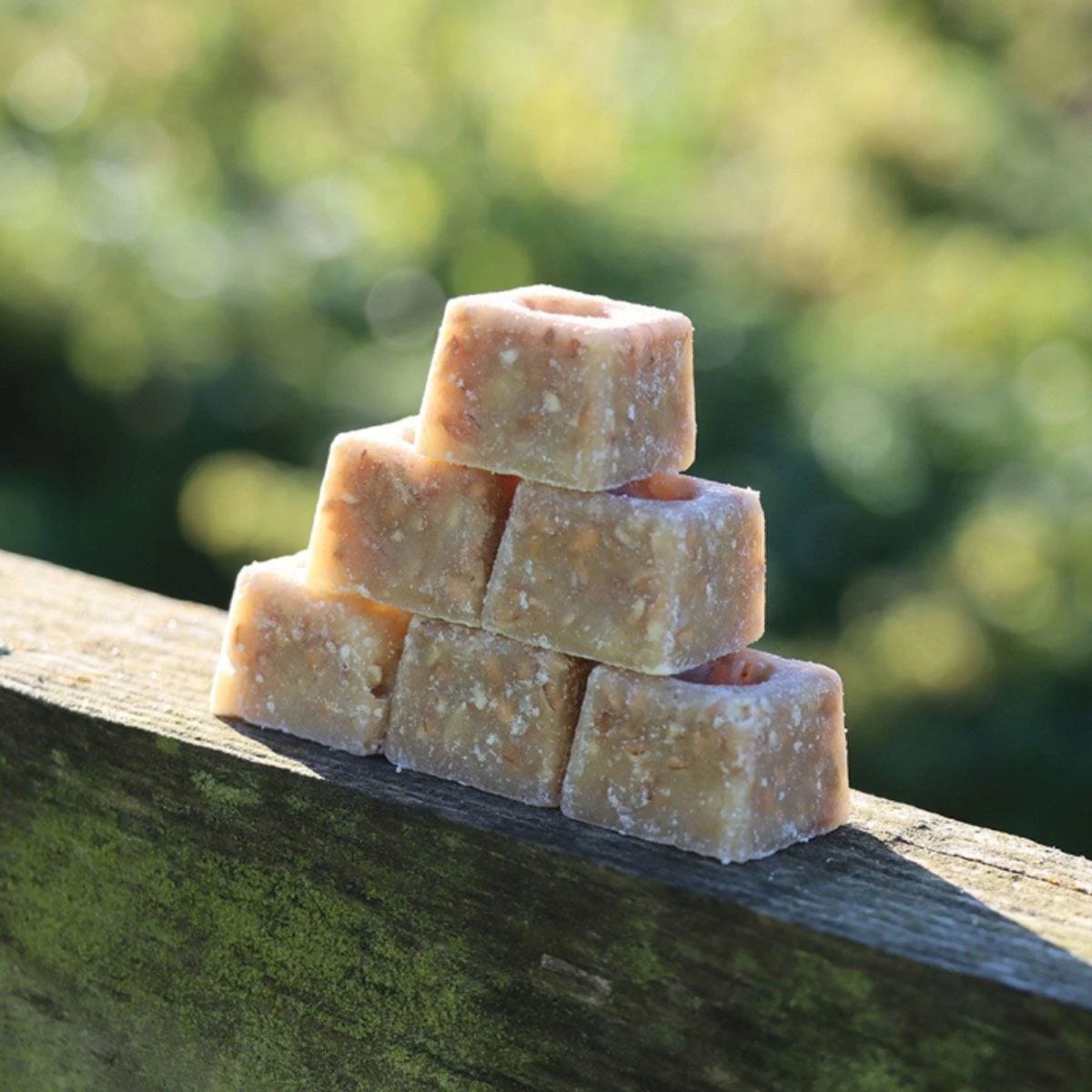 The Big Cheese Poison Free Mouse And Rat Block Bait 10G X 30 - Image 2