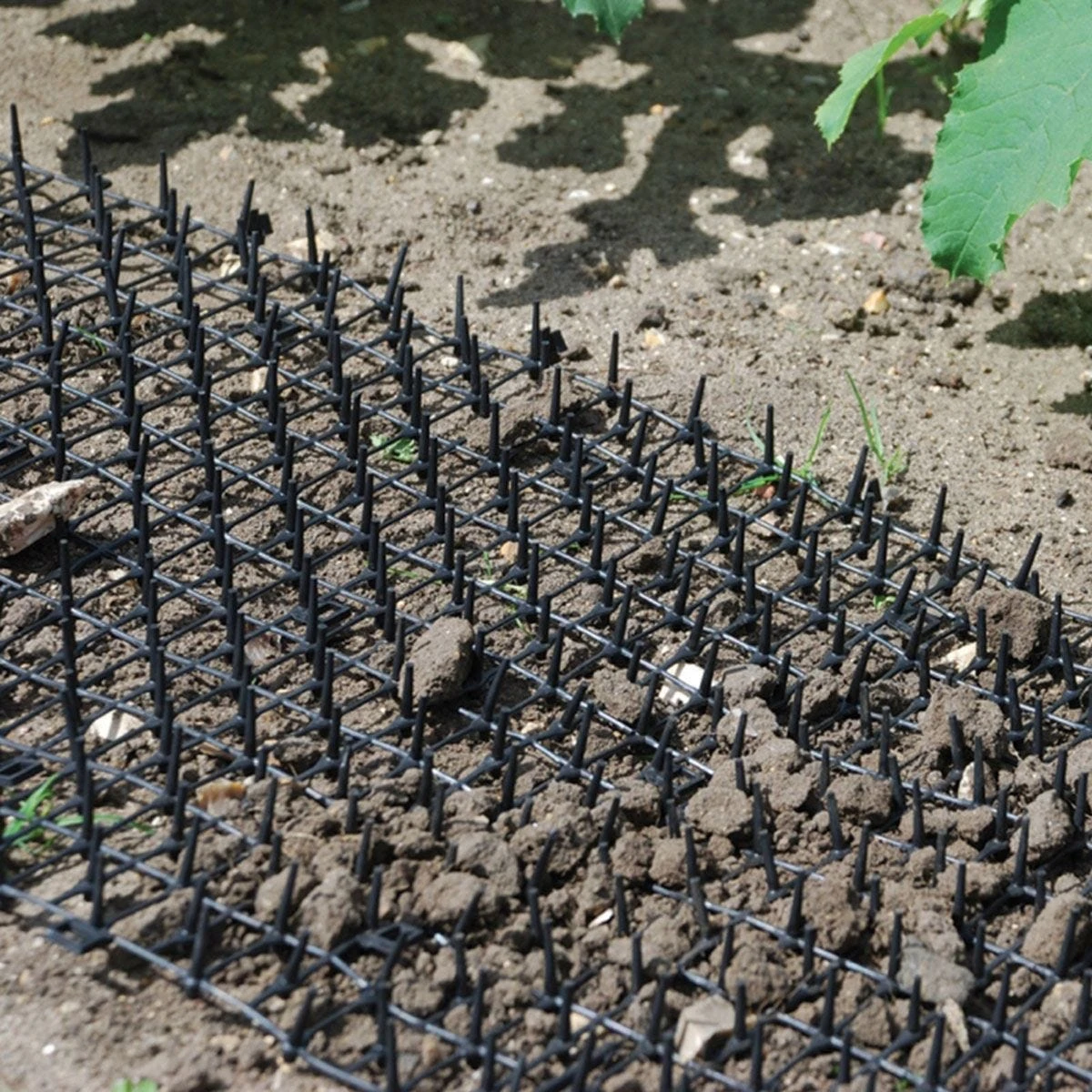 The Big Cheese Prickle Strip Dig Stopper - Image 2