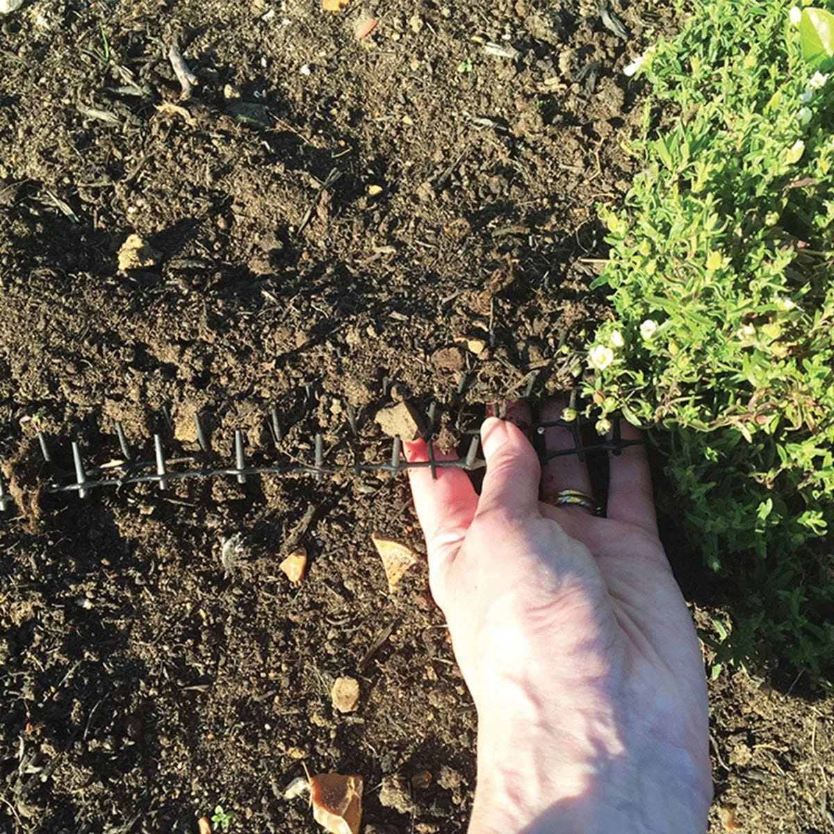 The Big Cheese Prickle Strip Dig Stopper - Image 3