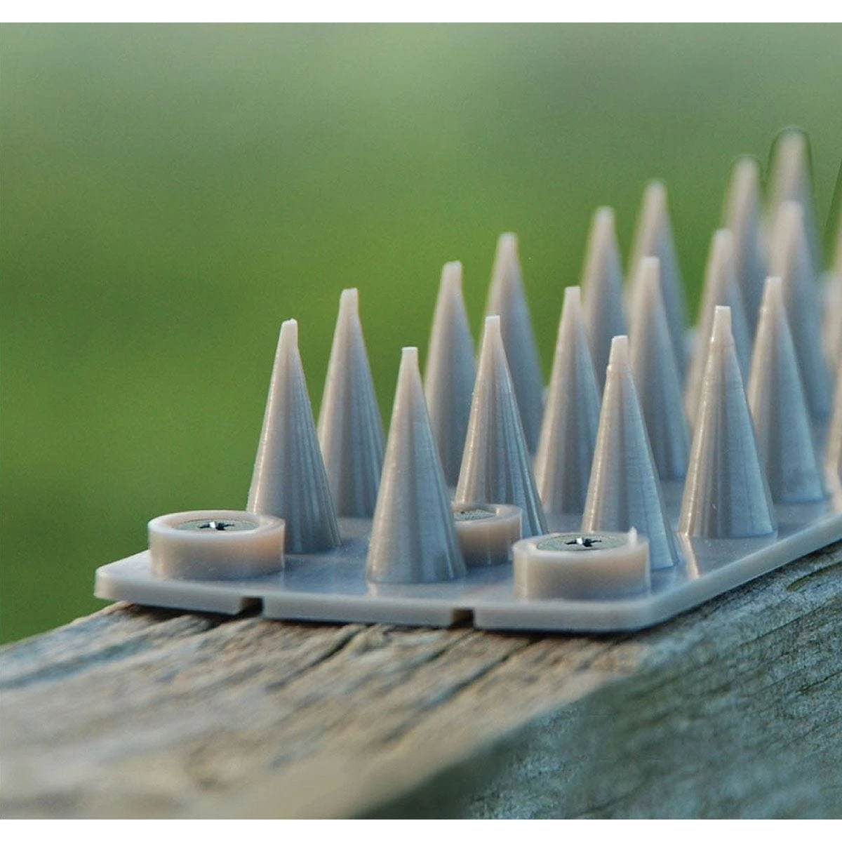 The Big Cheese Prickle Strip Garden Fence Toppers - 6 Pack - Image 4