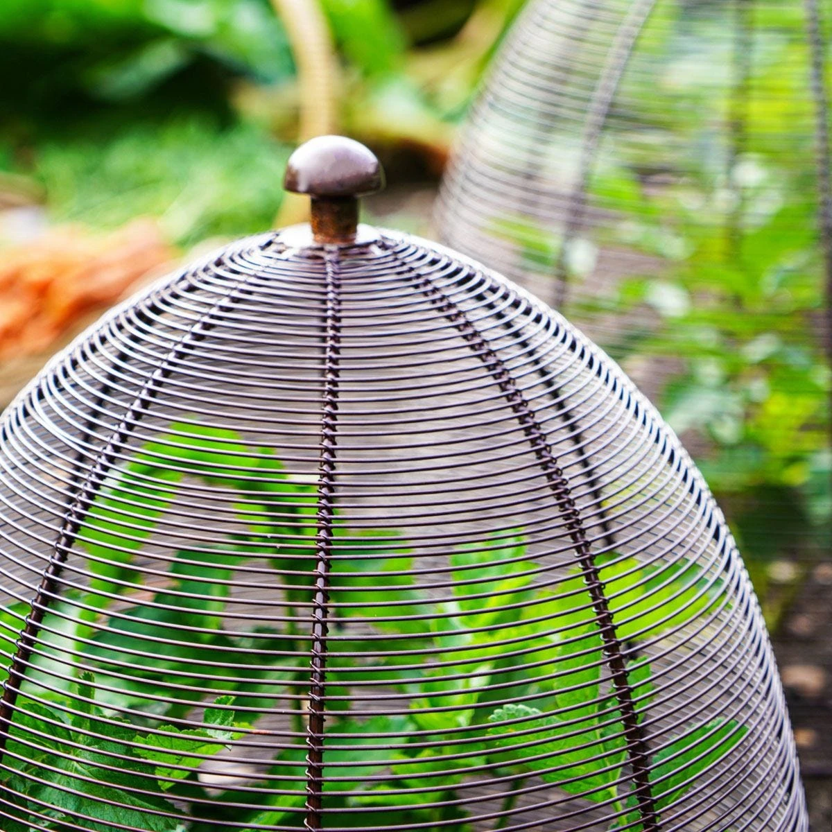 Ivyline Outdoor Wired Plant Protector Bronze H55cm W47 - Image 7