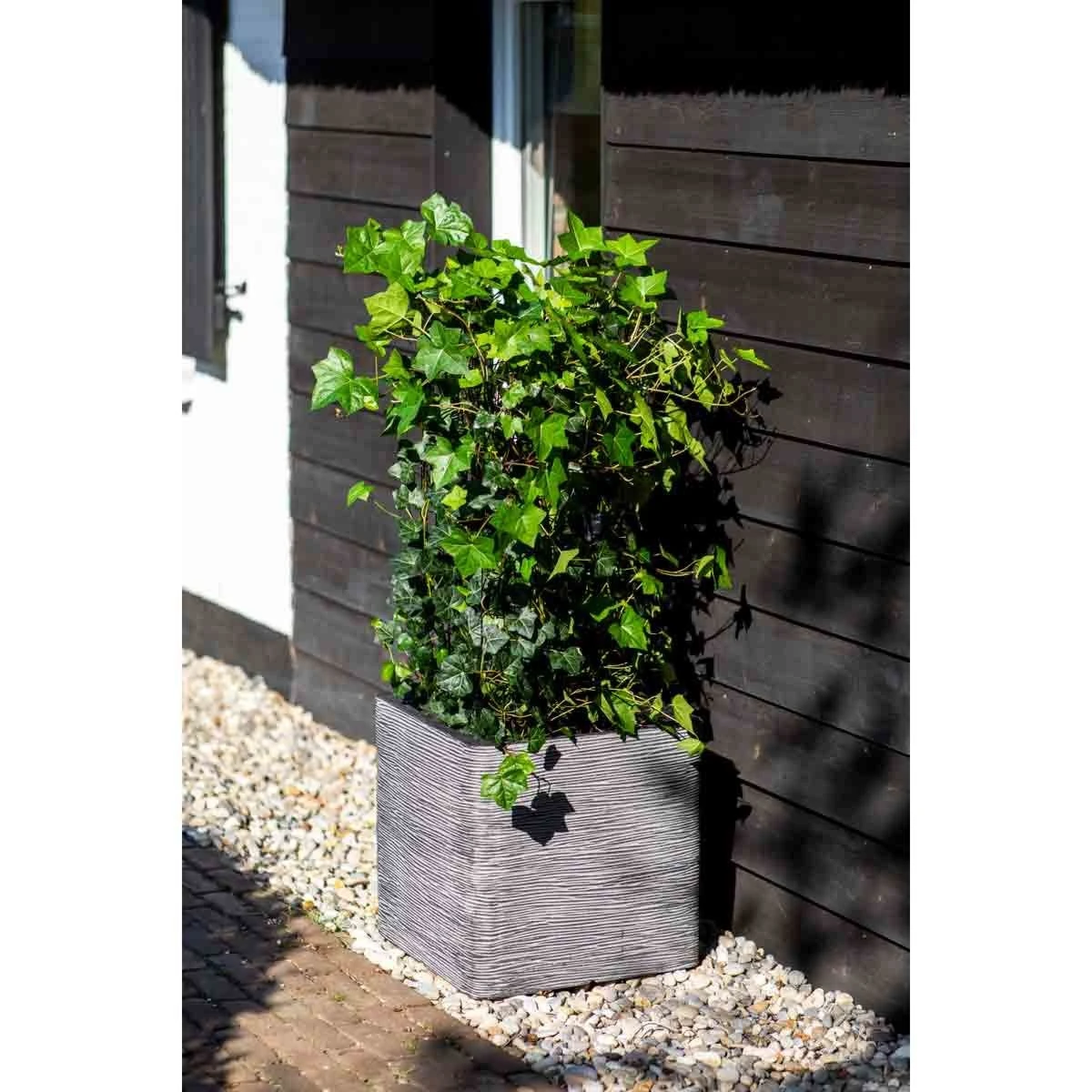 Capi Europe Planter Square Rib NL 30x30x30 Anthracite - Image 3
