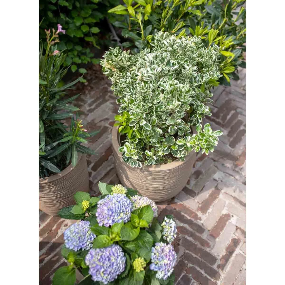 Capi Europe Planter Ball Waste Rib NL 43x41 Terrazzo Beige - Image 2