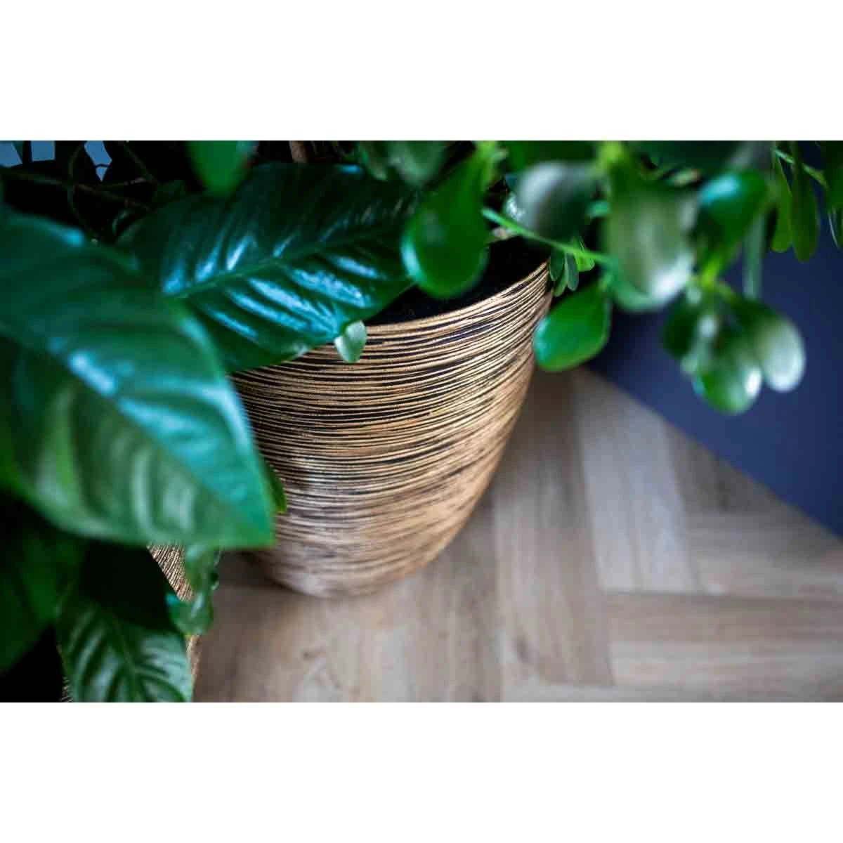 Capi Europe Vase Elegant Low Rib NL 46x58 Black Gold - Image 2