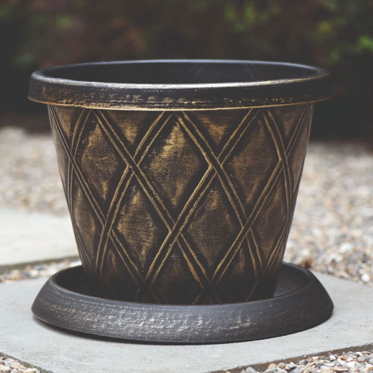 Thompson And Morgan Plastic Flowerpot With Saucer In Black And Gold