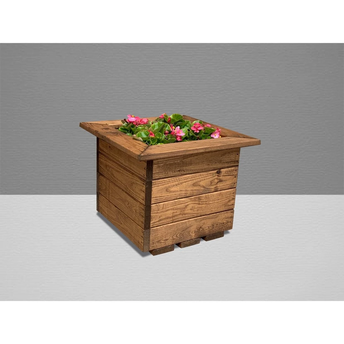 Charles Taylor 2pc Small Planter Set - Image 3