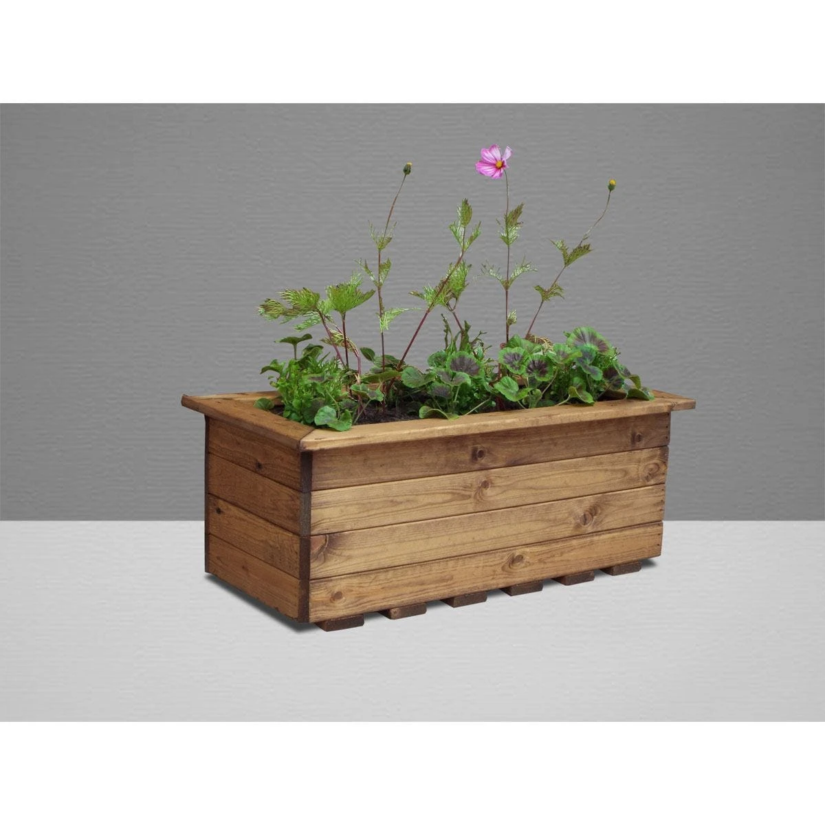 Charles Taylor 2pc Medium Trough Set - Image 3