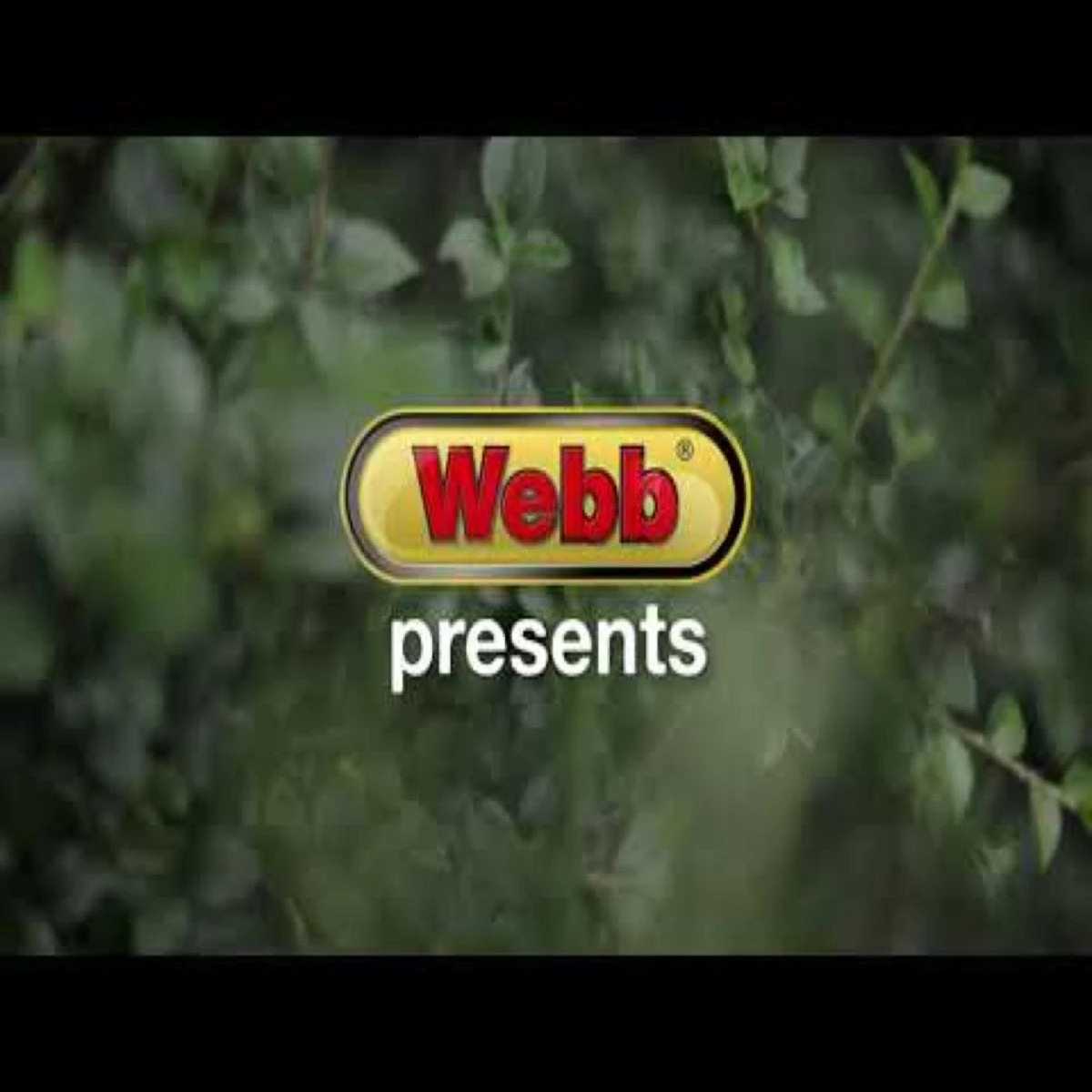 Webb 20V Long Reach Hedge Trimmer With Battery & Charger - Image 8